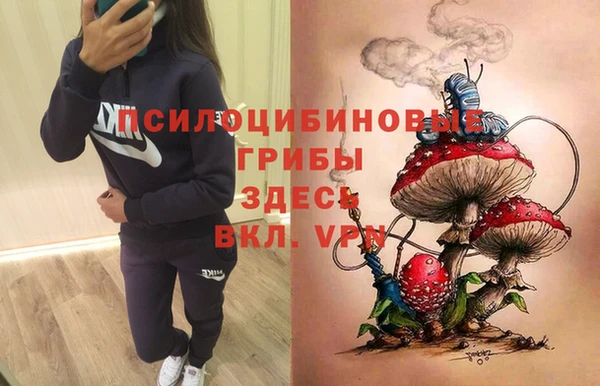 дживик Лагань