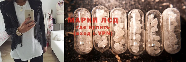 дживик Лагань