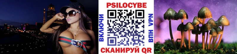 Галлюциногенные грибы мицелий Терек